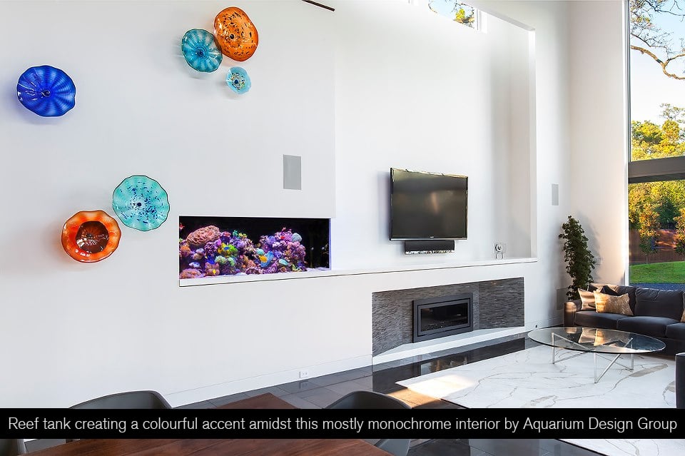 6 Tips for integrating a small aquarium into your interior