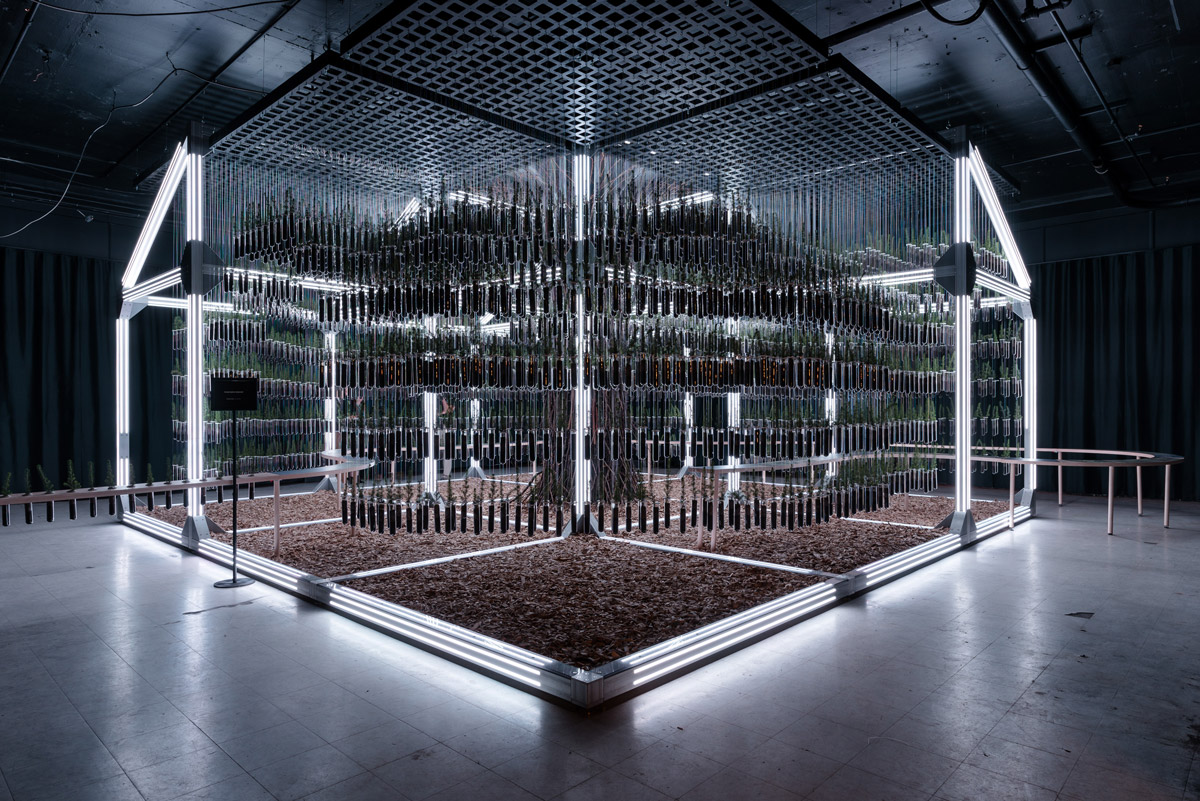 Immersive Installation Creates Sensory Experience for Sustainable Construction