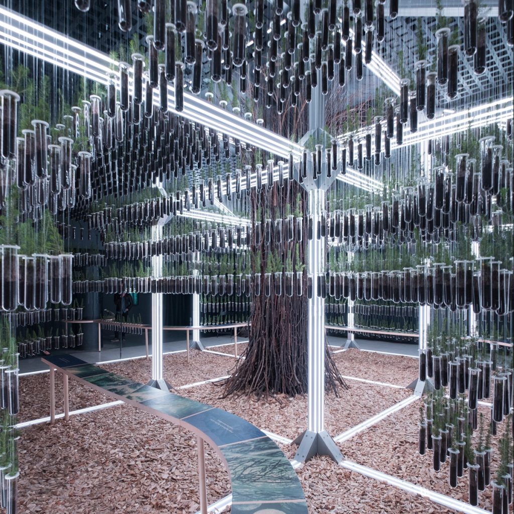 STACKLAB'S public space design with immersive exhibit, Wild Abode