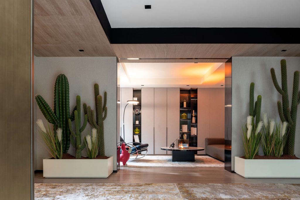 Hallway interior with biophilic design featuring cactus planter