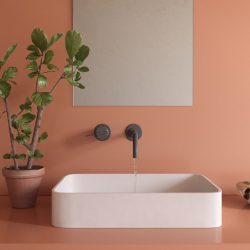 A white sink in the middle of the picture. The countertop and the wall behind are in Arcilla Red colour. A plan and a soap dish situated on different sides of the sink.
