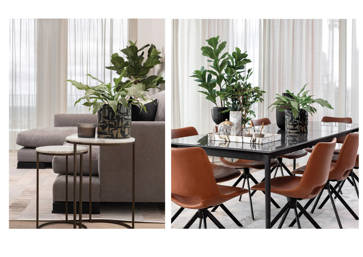 The Six Collective (3)