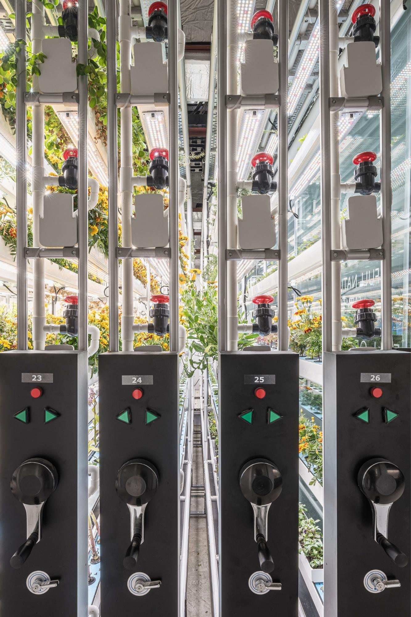 flexible office design, A Sustainable and Compact Urban Farm is Part Office and Part Grow Room