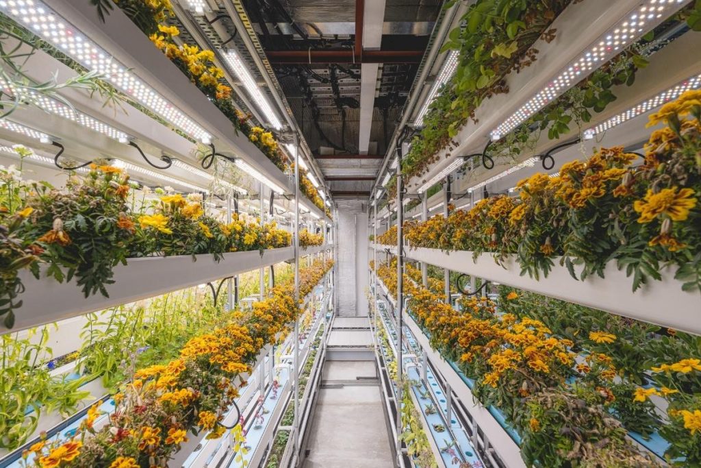 A Sustainable and Compact Urban Farm is Part Office and Part Grow Room