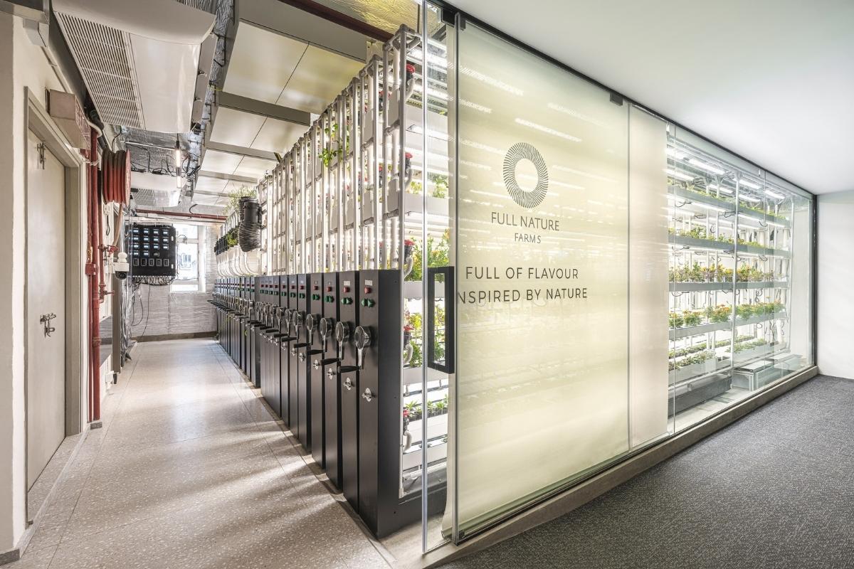 flexible office design, A Sustainable and Compact Urban Farm is Part Office and Part Grow Room