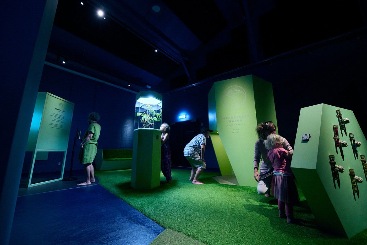 exhibition, Immersive Nature Exhibition Takes Visitors on a Sensorial Experience