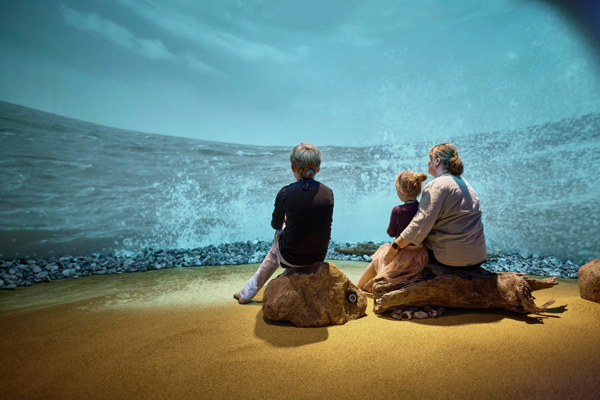 exhibition, Immersive Nature Exhibition Takes Visitors on a Sensorial Experience