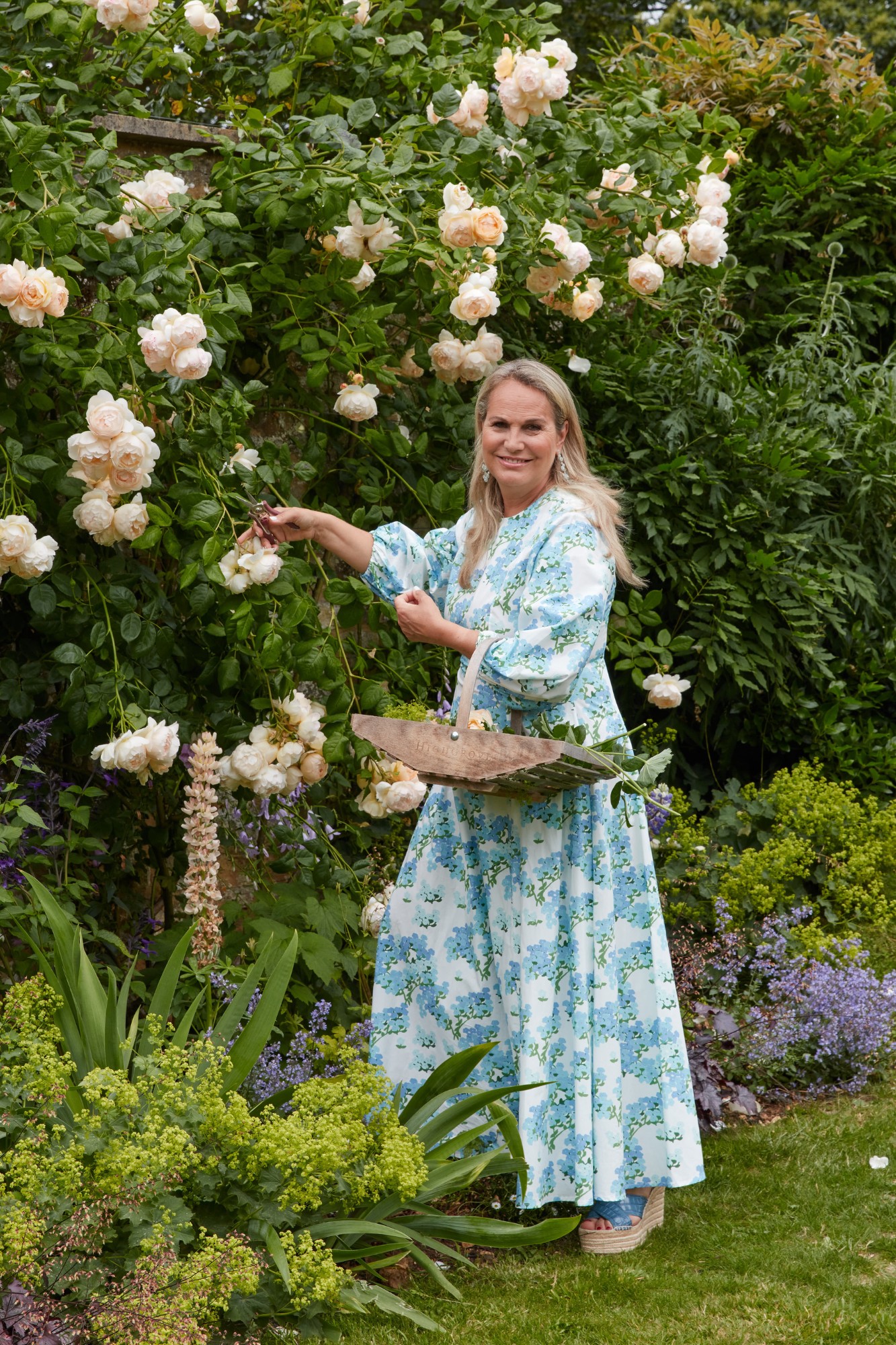 katharine pooley, Katharine Pooley x Fromental: Introducing ‘An English Butterfly Garden’