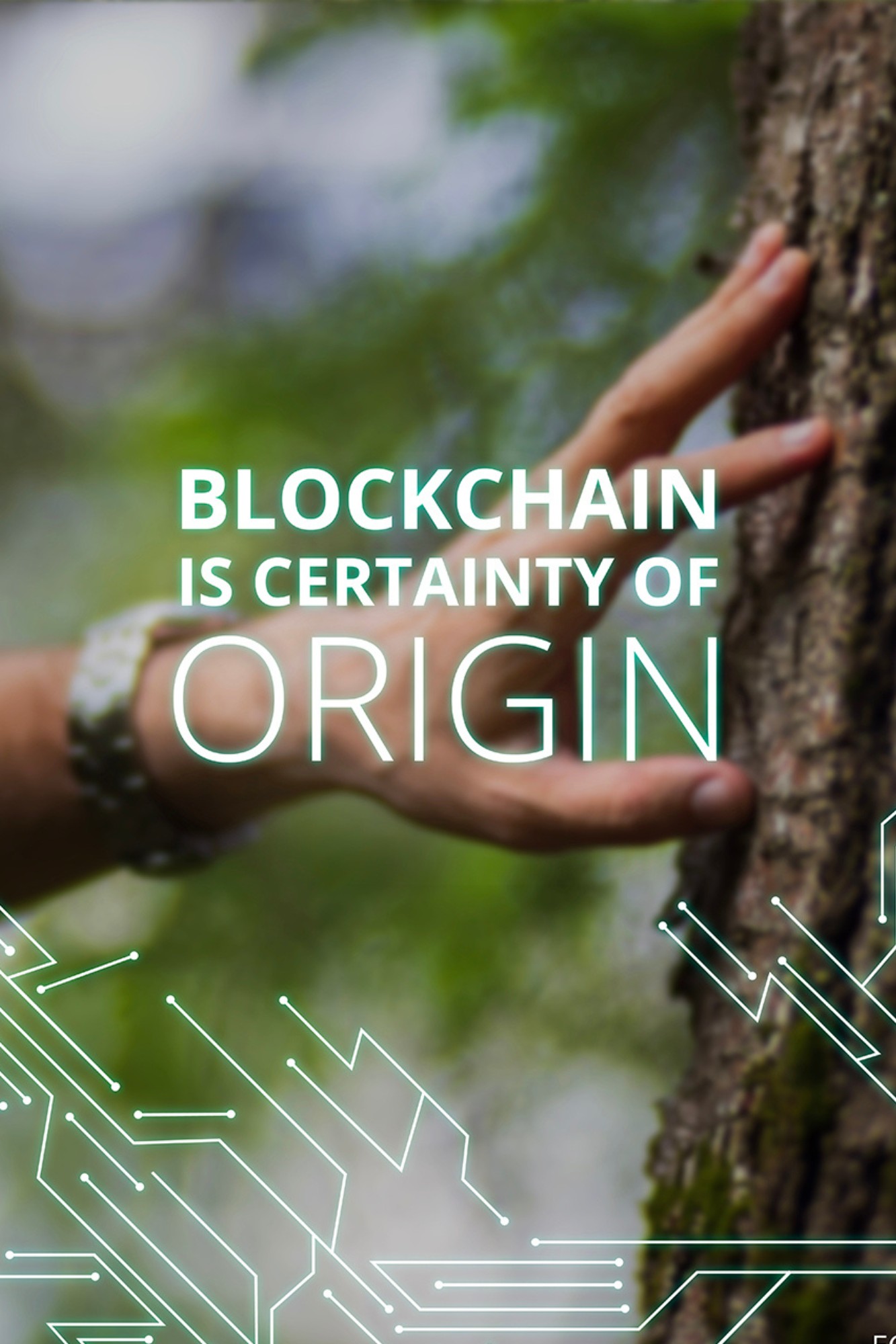 blockchain, Foglie d’Oro Offers Guaranteed Authenticity Thanks to Blockchain Technology