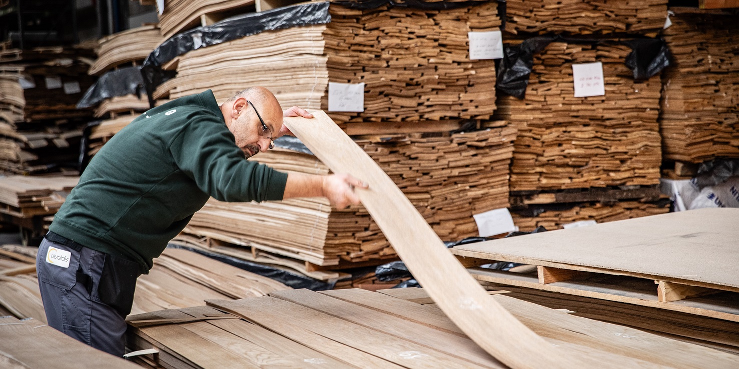 Alice resized BOSQ SBID