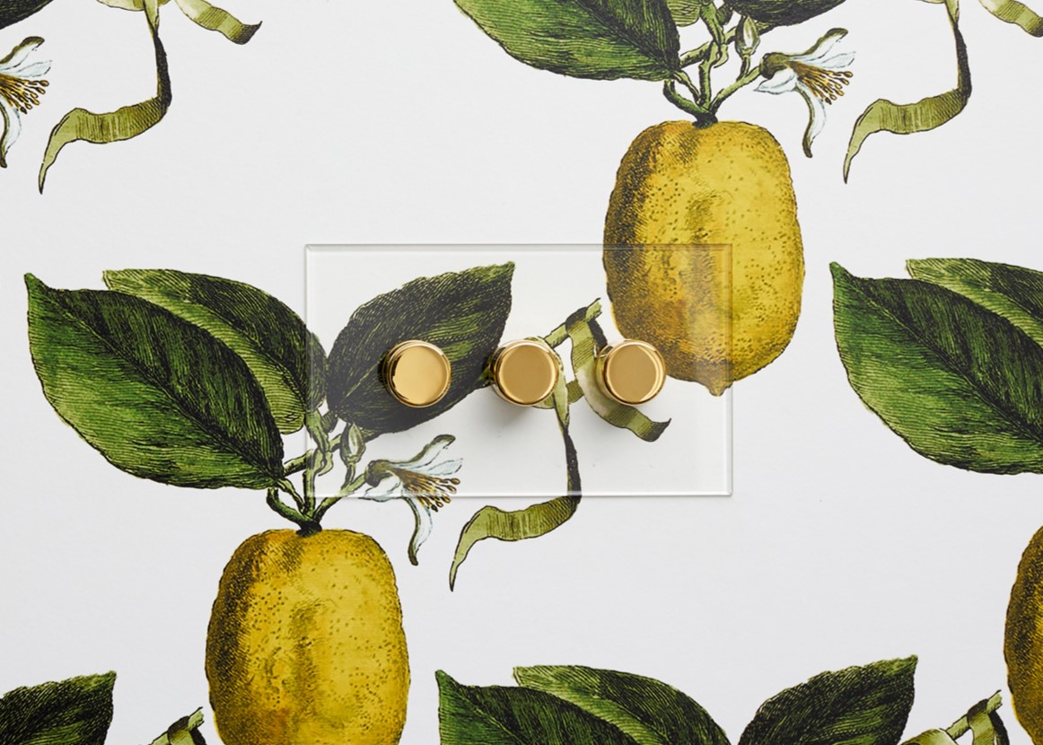 3 Gang Rotary Dimmer in Invisible with Brass Dimmer Knobs