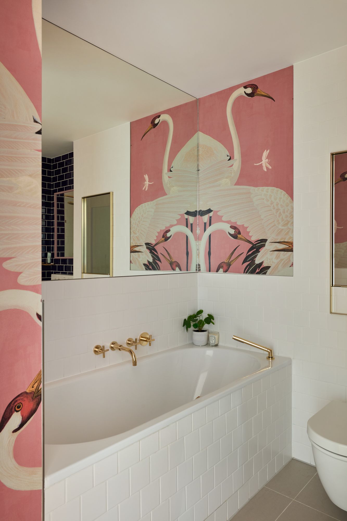 Pia Design, Pia Design Showcases the Transformative Power of Bold, Joyful Residential Design