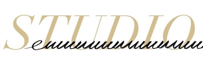 StudioEWW's Logo