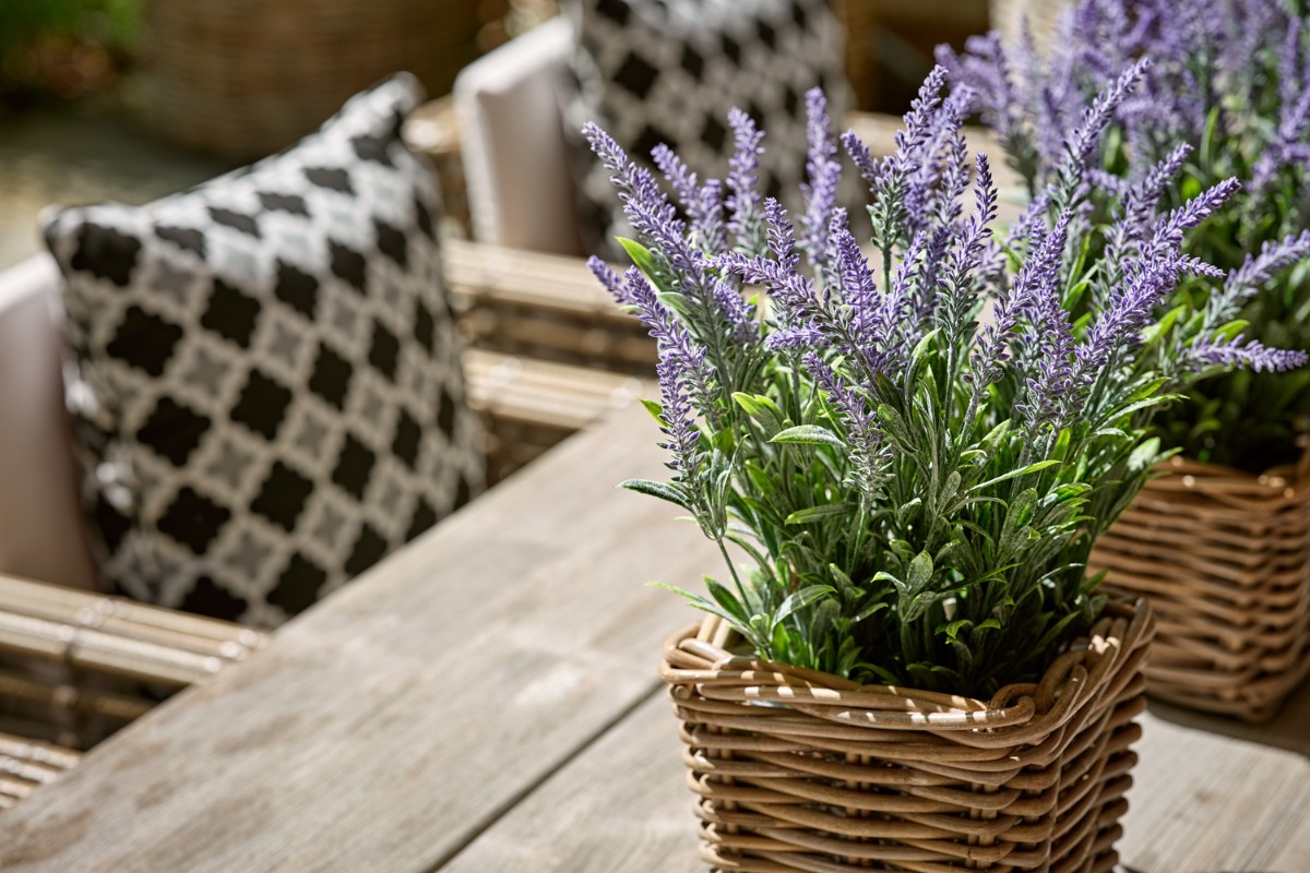 garden, Inside Out: Designing a Garden as an Extension of the Home